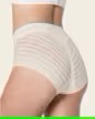 Leonisa Lace Stripe Classic Shaper Panty